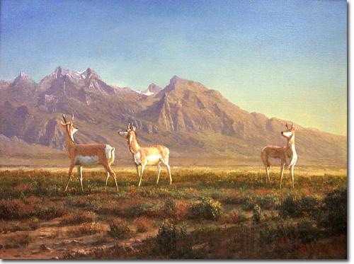 Albert Bierstadt Prong-Horned Antelope Norge oil painting art